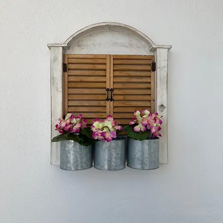 Litsa_house Apartment Skiathos Town
